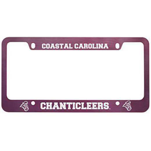 SM-31-PNK-COSTCAR-1-LRG: LXG SM/31 CAR FRAME PINK, Coastal Carolina